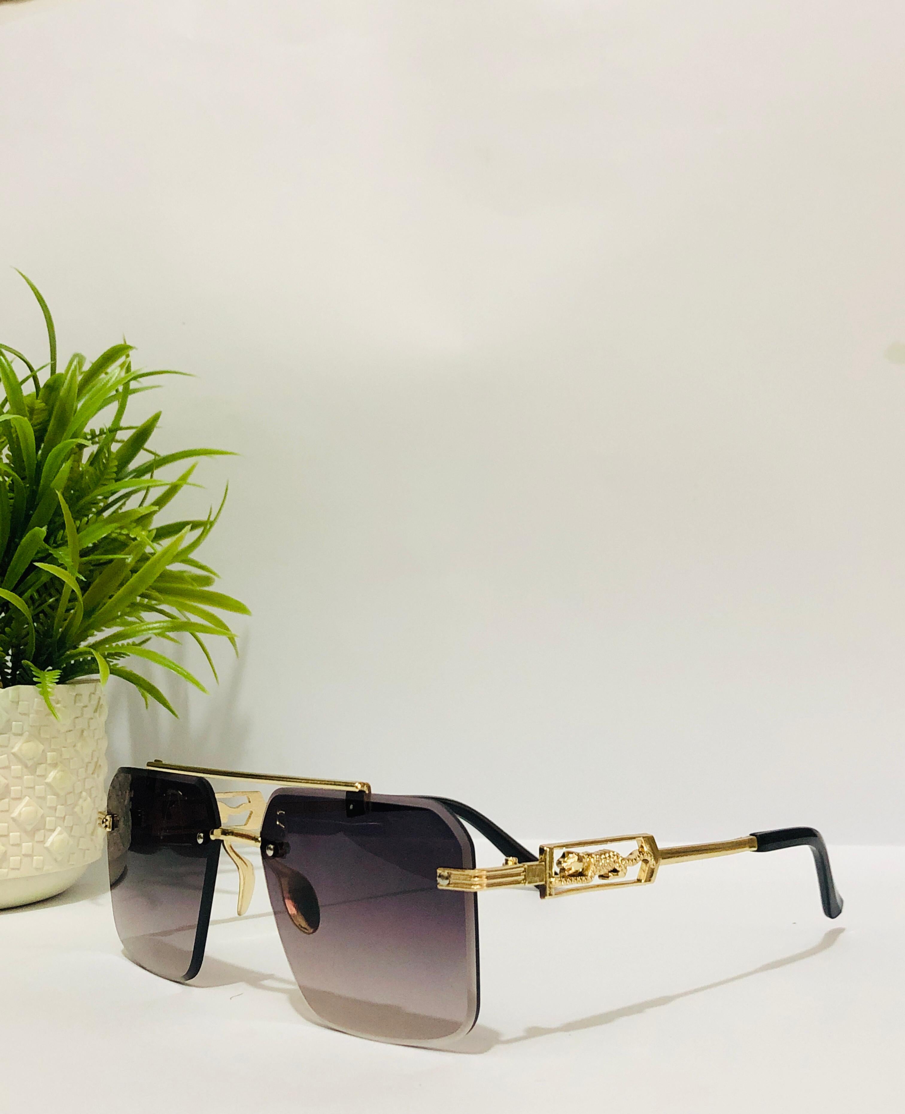 β¨ Royal Vision Sunglasses β¨