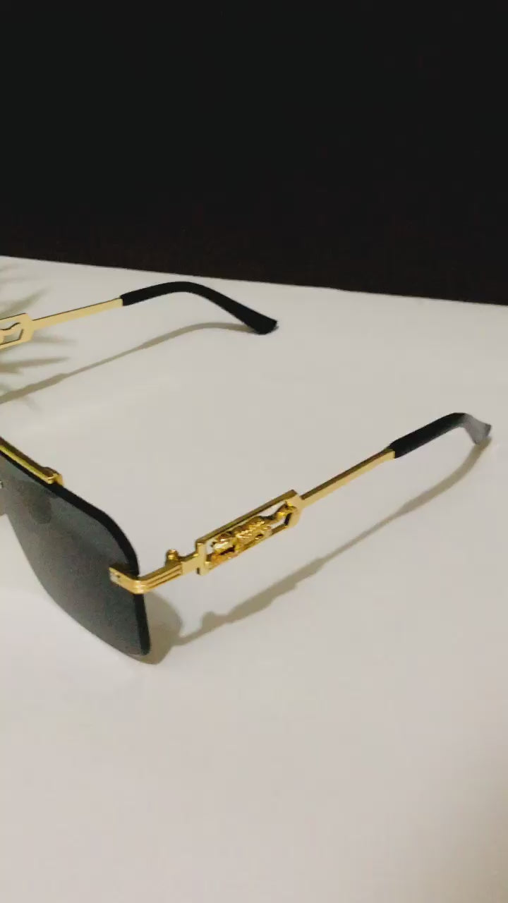 β¨ Royal Vision Sunglasses β¨