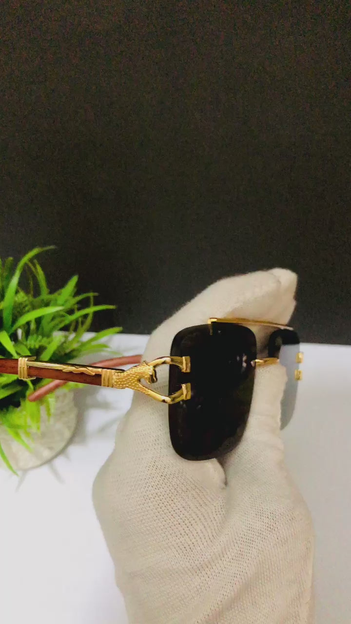 π₯ Imperial Claw Sunglasses π₯